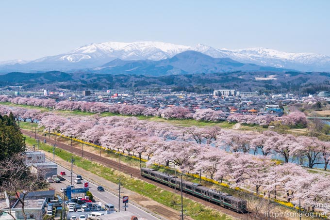 電車と蔵王と一目千本桜