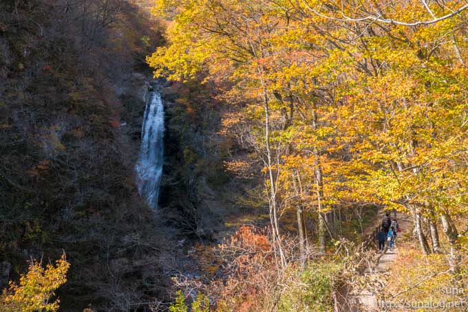秋保大滝と紅葉