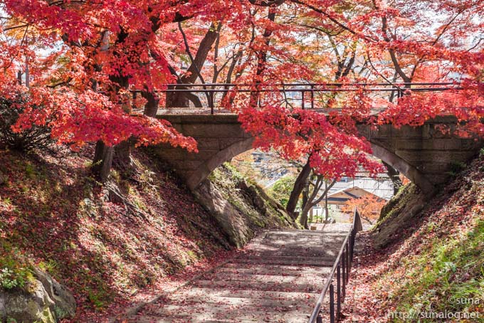 あざやかな紅葉と康寿橋